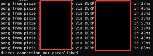 Testing DERP server