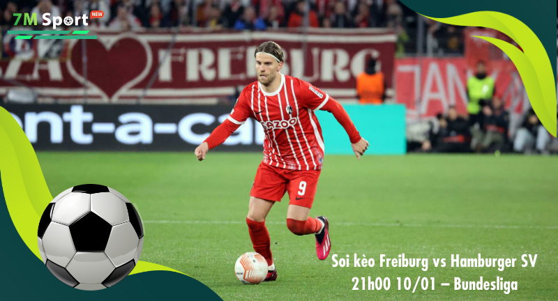 Đội hình dự kiến trước trận Freiburg vs Hamburger SV Đội hình dự kiến trước trận Freiburg vs Hamburger SV