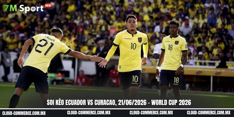 Đội hình dự kiến trước trận Ecuador vs Curacao Đội hình dự kiến trước trận Ecuador vs Curacao